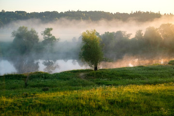 Туман на траве и реке, в деревьях в лучах восходящего солнца на рассвете. Лучи солнца на траве. © skorovik