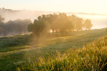 Туман на траве и реке, в деревьях в лучах восходящего солнца на рассвете. Лучи солнца на траве. © skorovik