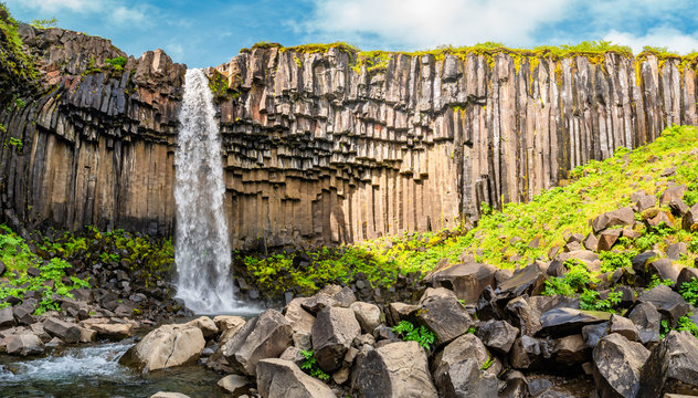 Fototapeta Wonderful and high Svartifoss waterfall with black basalt columns on South Iceland