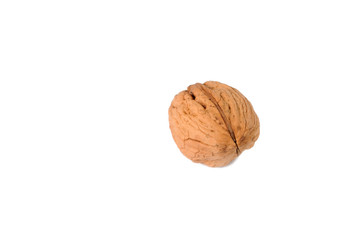 Walnut on a white background. Front view.