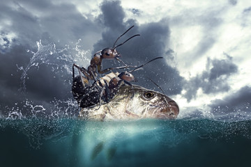 Ants seamen are fishing - obrazy, fototapety, plakaty