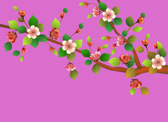 Spring. All wakes up, flowers sakura blossom .