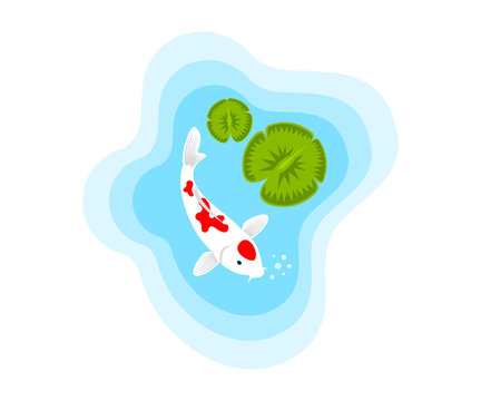 Fish, carp koi in a pond with water lilies, illustration. Aquaristics, marine life, animals and the underwater world, vector design, icon