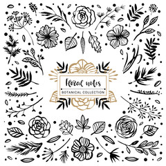 Floral notes botanical collection. Flowers, branches, and leaves. Hand drawn design elements. Nature vector illustration.