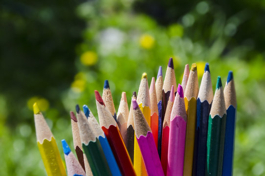 colored pencils close-up on a green background