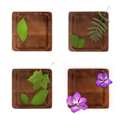 Green leaves and orchids on a isolated wooden background