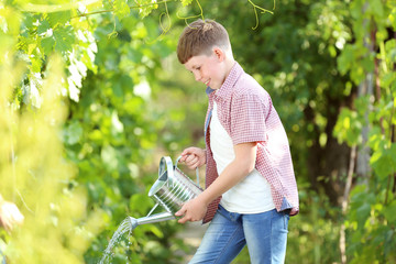 Young boy pouring plant in the garden