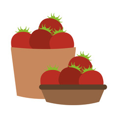Tomatos on basket vector illustration graphic design