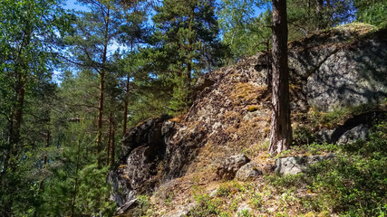 Fototapeta na wymiar Scandinavian forest huge granite boulders. Northern forest landscape.