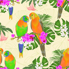 Seamless texture Sun Conure Parrots tropical birds standing on a purple orchid  Phalaenopsis and palm, phiodendronon and Brugmansia vector illustration editable hand draw