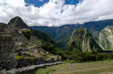 machu picchu and forest
