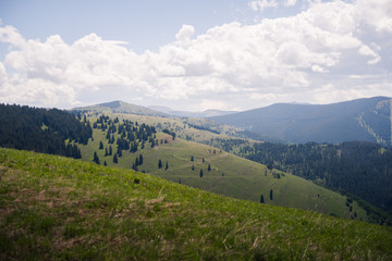 Landscape view of Vail's back bowls during the summer in Vail, Colorado. 