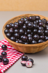 Jabuticaba