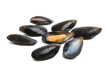 mussels isolated