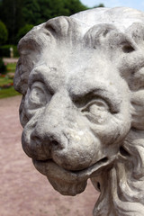 Head of stone lion looking forward seriously