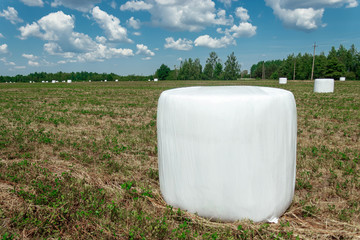 Agricultural landscape with straw packages on field. Cereal bale of hay wrapped in plastic white foil. Hay harvesting, grass harvesting. Season harvesting, grass, agricultural land.