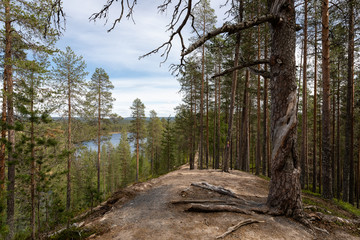 Beautiful scenery in Iso-Syote national park, Finland.
