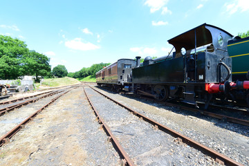 Fototapeta na wymiar A tank engine in a siding in the UK