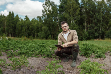 Fototapeta premium A male farmer sitting in the field and using a tablet. Modern application of technologies in agricultural activities. Farmland, new technologies, harvesting, fertilization, crop inspection.