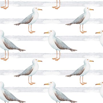 seamless pattern watercolor in marine style bird gull on white background