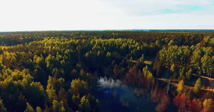 Aerial view of the colorful autumn forest. Look down on autumn forest. Looking down on amazingly beautiful autumn colorful trees.