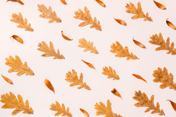 Creative layout of colorful autumn leaves. Flat lay.