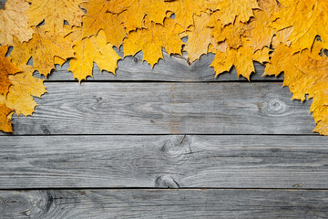 Frame of colorful autumn maple leaves closeup on wooden background.