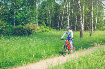 Naklejka premium A cyclist in a helmet rides through the forest on a bicycle path