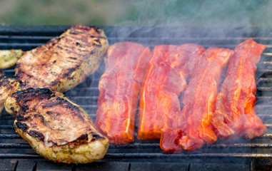 Assorted mixed grill from chicken meat, and pork, sausages  roasting on barbecue grid cooked for summer family dinner