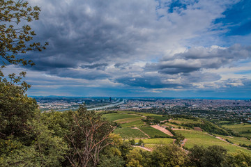 Naklejka premium Vienna