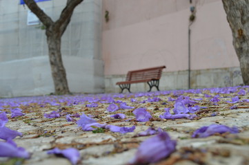 Purple Leaves Romantic Bench