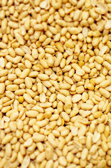 Fototapeta premium Background of raw peanut snacks. Useful fats. Texture nut. Selective focus.