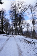 ruine Honburg auf dem Berg Honberg in Tuttlingen