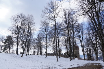 ruine Honburg auf dem Berg Honberg in Tuttlingen