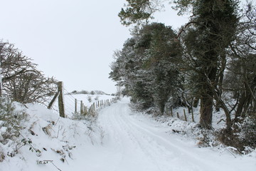 winter, snow, tree, landscape, cold, nature, forest, white, sky, frost, road, blue, trees, ice, season, park, scene, frozen, path, snowy, weather, scenery, field, outdoors, outdoor