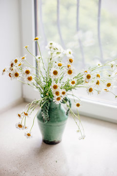 White daisies in a vase.