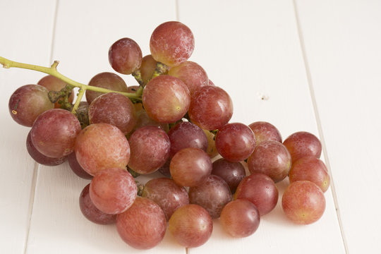 Grapes, pink and fresh, Vitis vinifera
