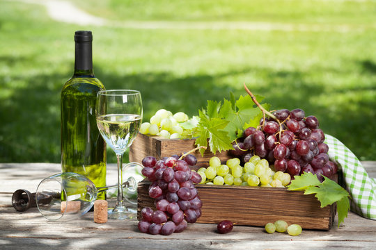 Wine and grape
