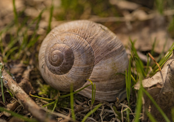 Spirala  © Rafał Bachanek