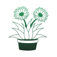 Flowers in pot vector illustration graphic design