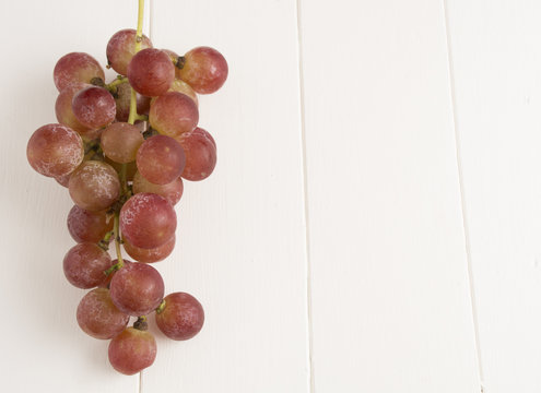 Grapes, pink and fresh, Vitis vinifera
