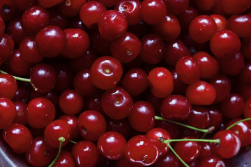 a lot of ripe juicy red cherries