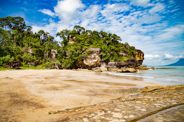 Fototapeta premium Bako National park