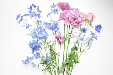 Obraz premium トルコキキョウとデルフィニウム