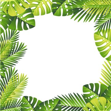 Floral pattern. Tropical green leaves. Exotical jungle and palm leaf. Vector floral element on white background