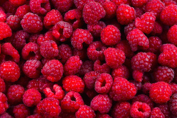 Fresh raspberries background.  Closeup photo, top view.