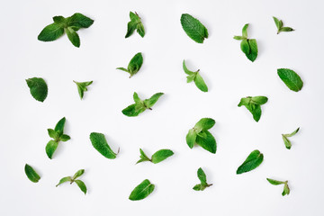 Fresh mint leaves pattern on white background