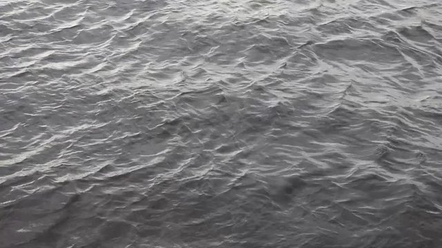 Cold water of wide northern river. Dark surface with small waves. Natural background. Cloudy day.