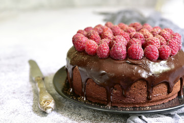 Chocolate cake with fresh ripe raspberry.
