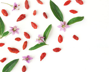 Closeup of Goji berries, Lycium barbarum. Dried Asian fruit, leaves and blossoms isolated on white...